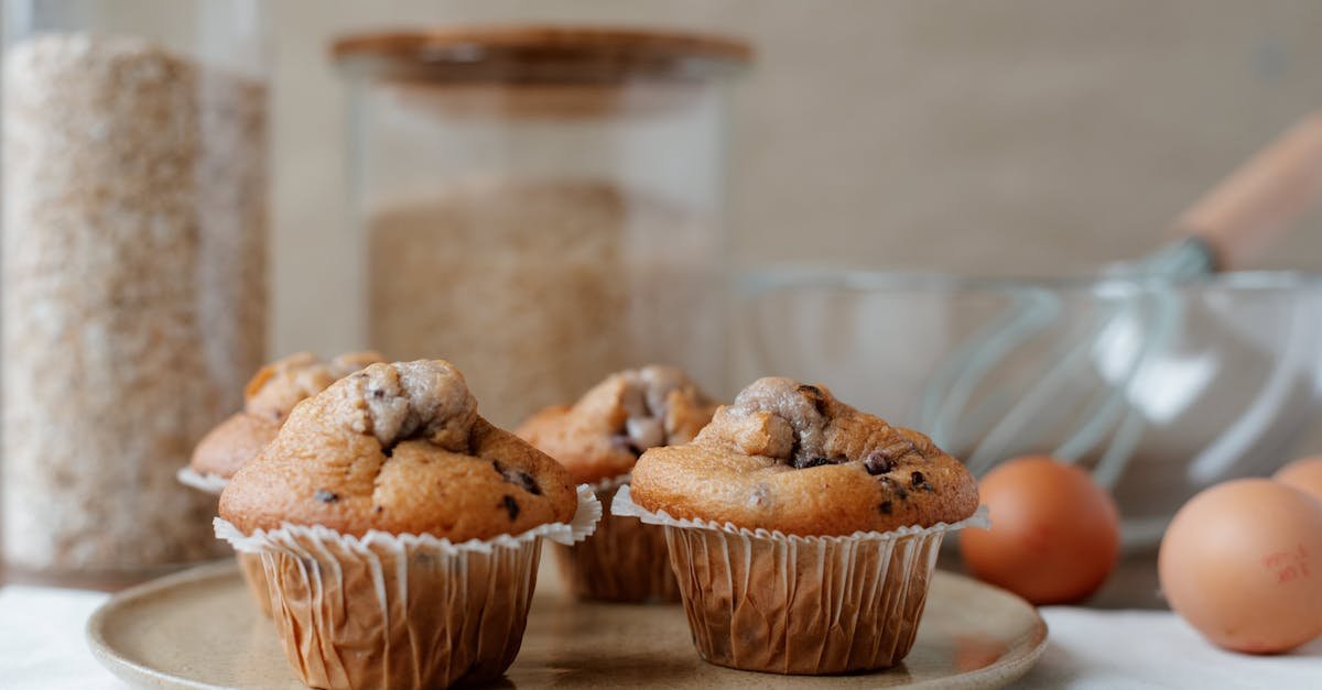 Freshly baked chocolate chip muffins displayed on a plate, perfect for breakfast or dessert.